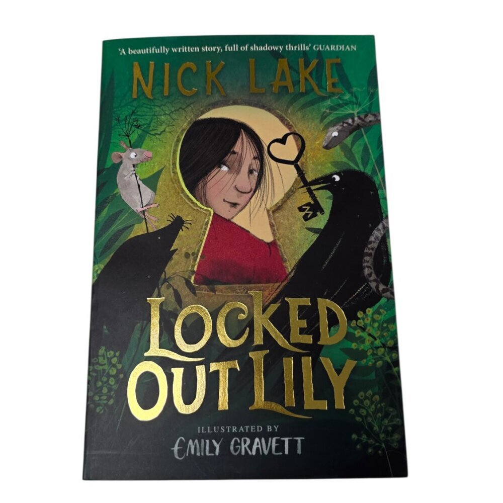 Locked Out Lily Book, Preteen, Tween, Kids Chapter Book, Emily Gravett